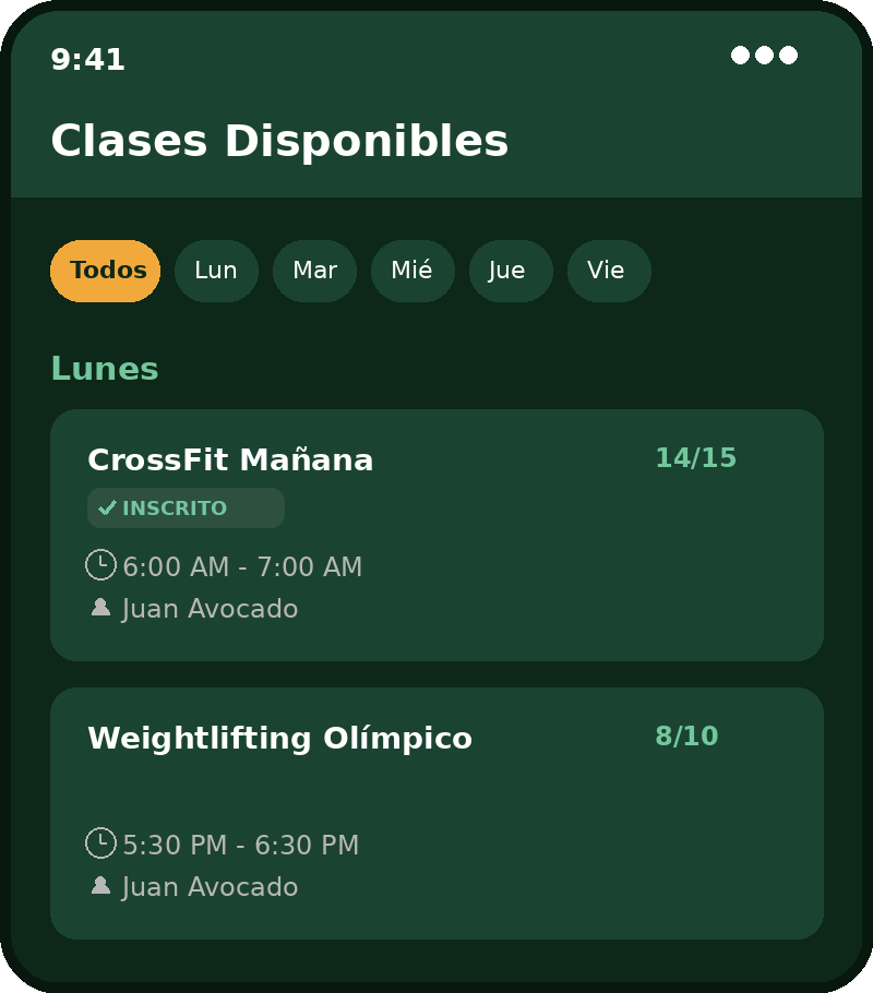 Fitzon - Clases disponibles